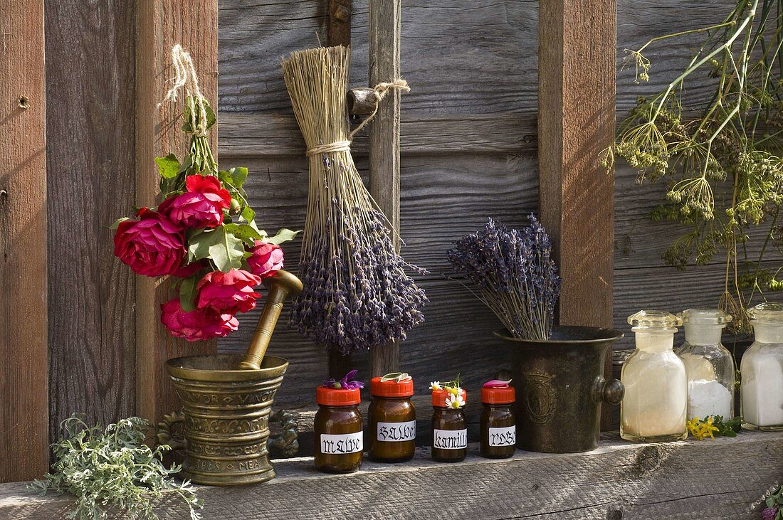 Lavandula (Lavendel), Rosa (Rosen), Artemisia (Eberraute), Anethum