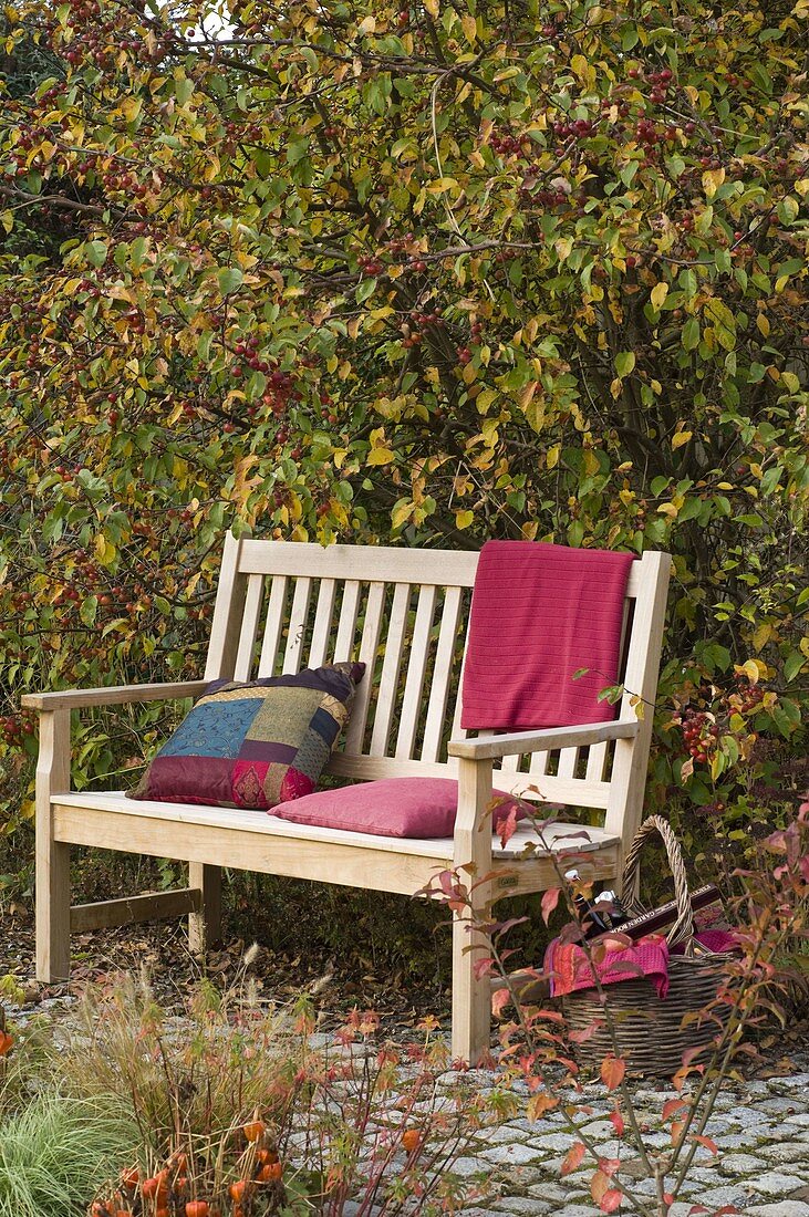 Bench made of wood under Malus (ornamental apple tree)