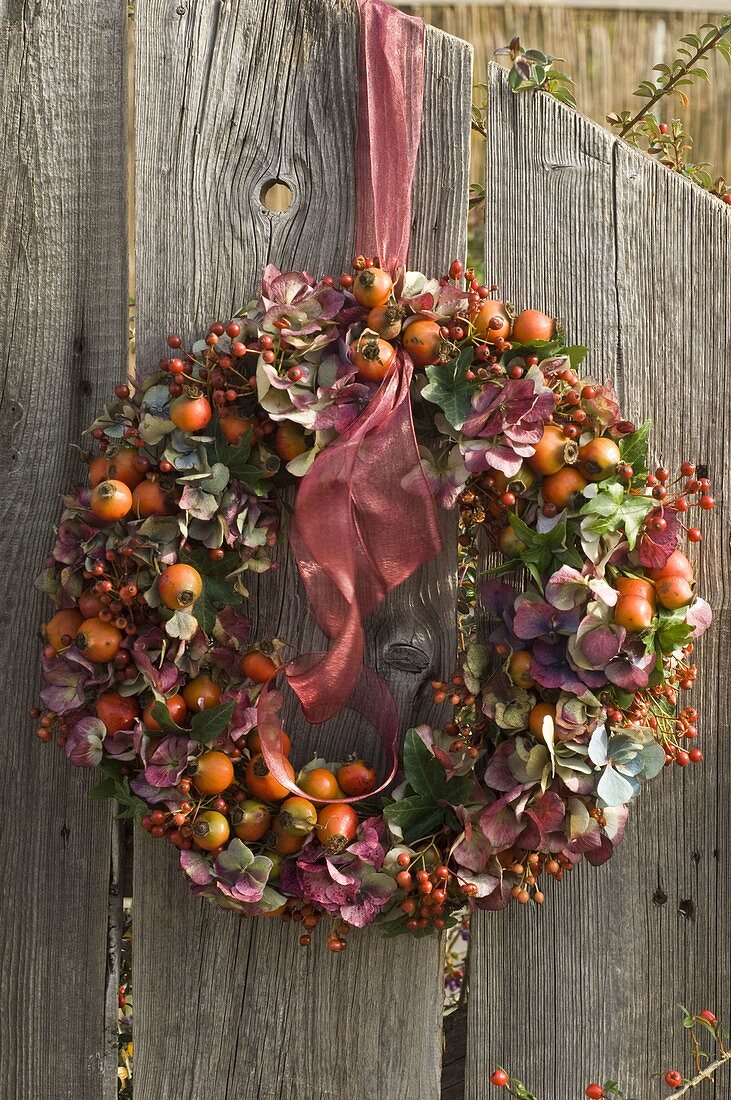 Hydrangea-rosehip wreath (4/4)