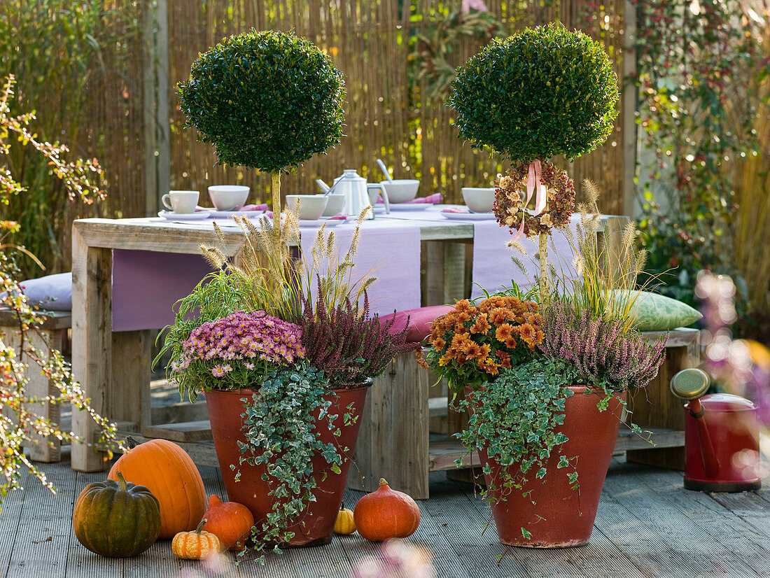 Terrace with underplanted shrub stems