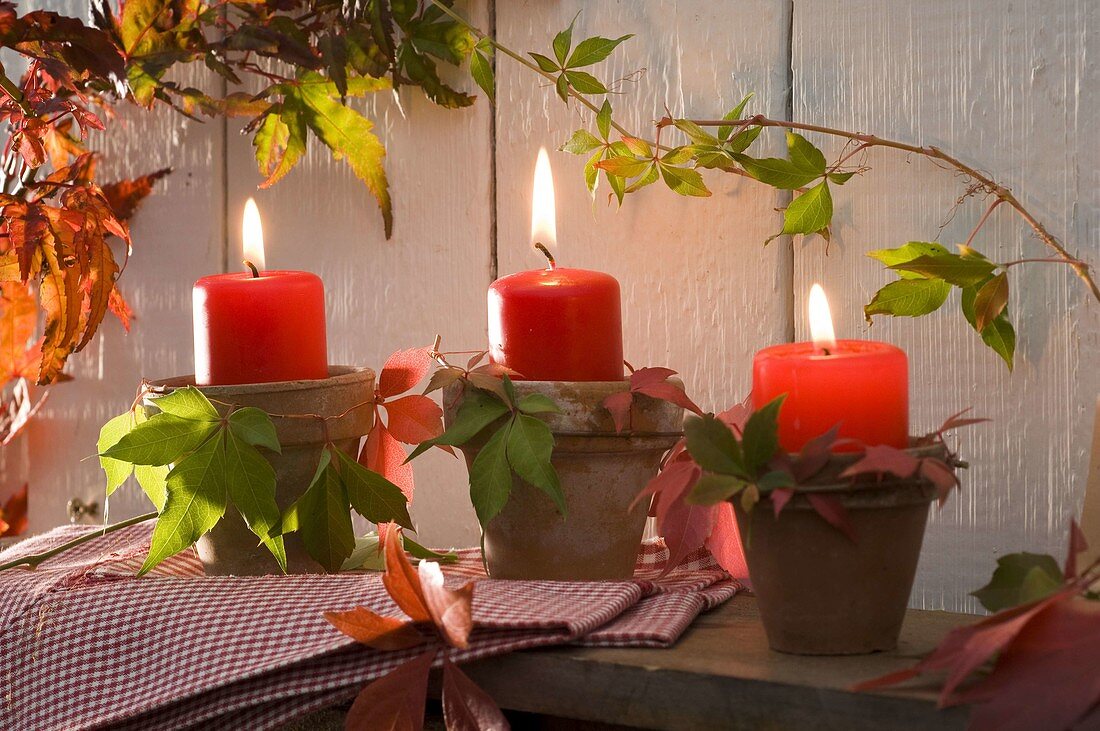 Candles in clay pots decorated with parthenocissus (wild vine)