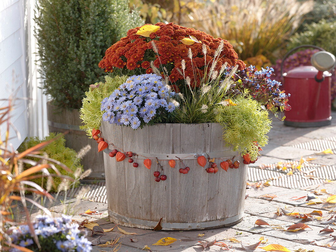 Mother and daughter plant wooden buckets