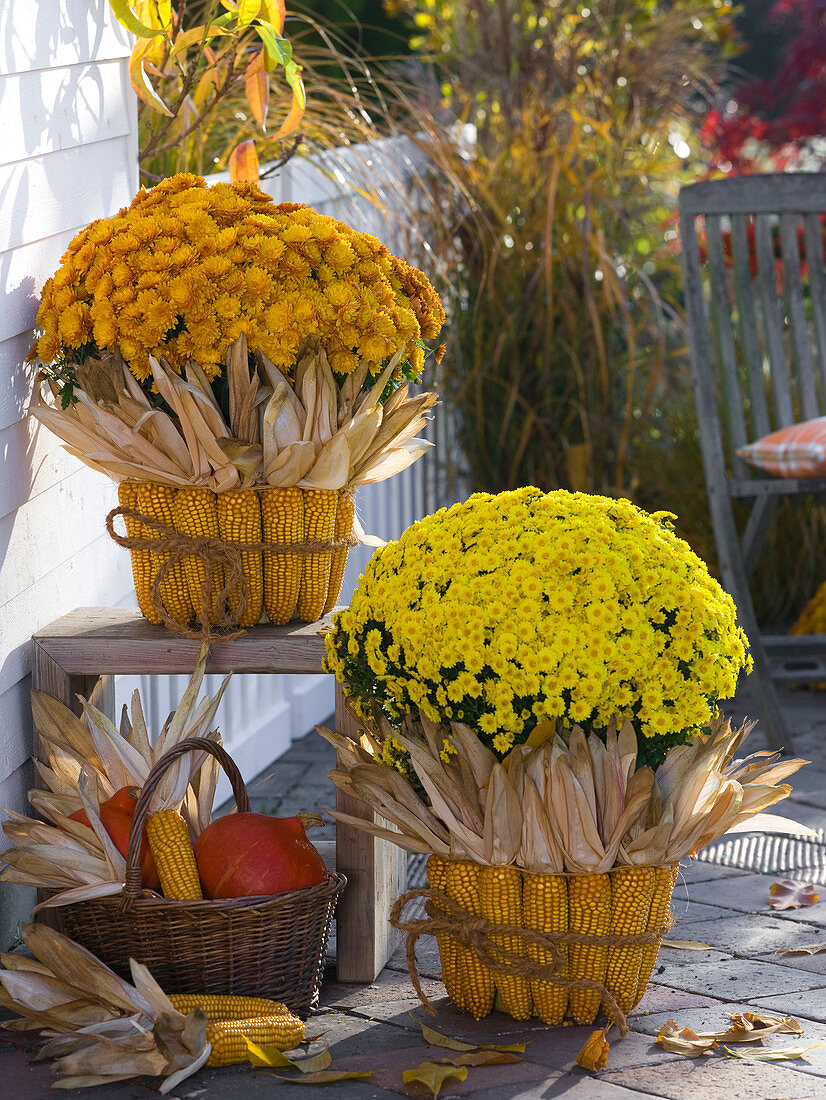 Bucket decorated with corncobs