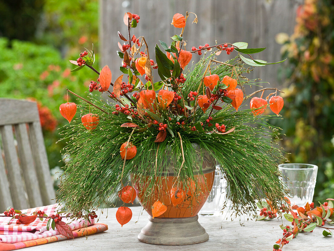 Scirpus cernuus 'Fiber Optic Grass' (simse), decorated with physalis