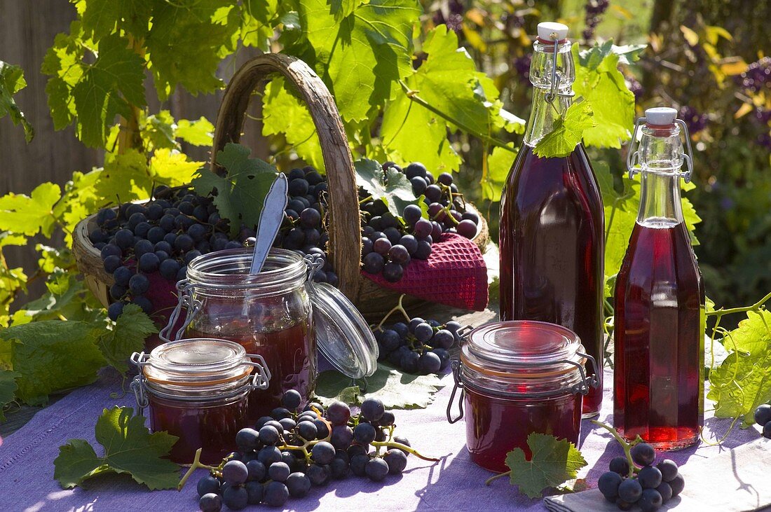 Vitis vinifera (Weintauben), Traubensaft und Traubengelee