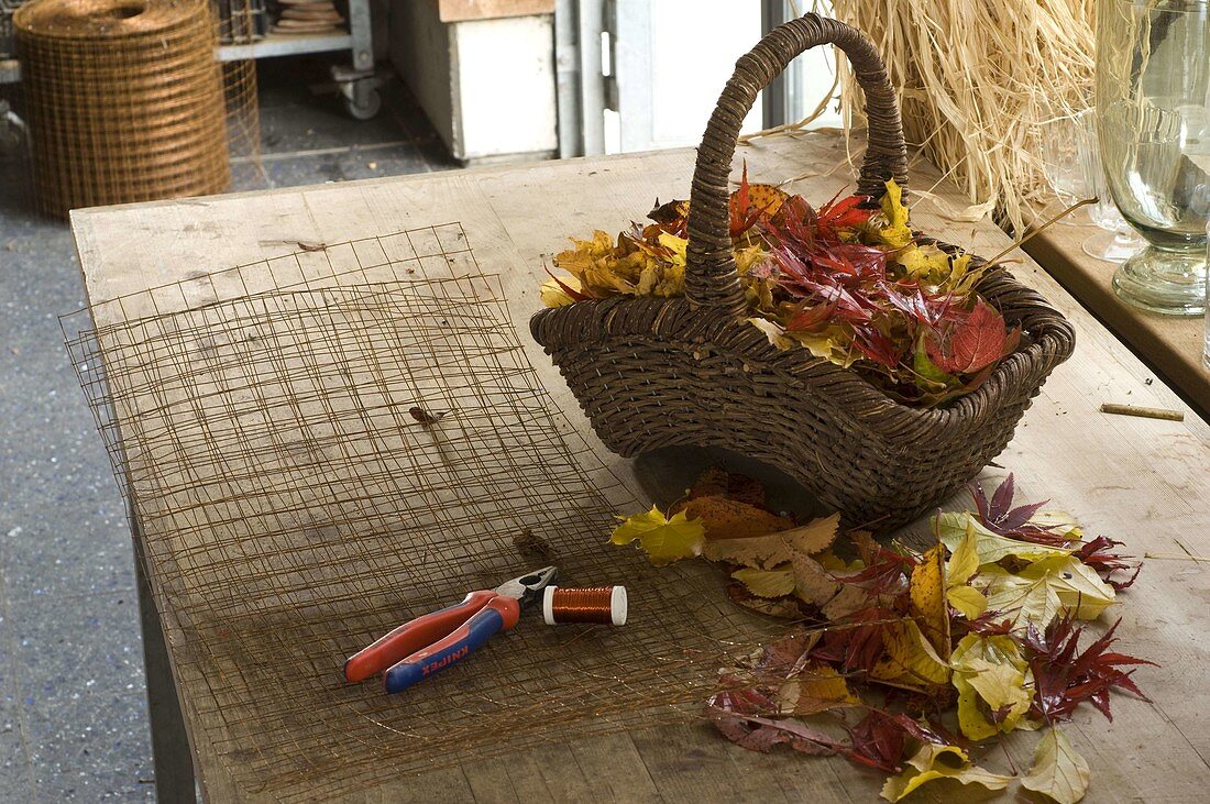 Leaf carpet of autumn leaves and wire mesh