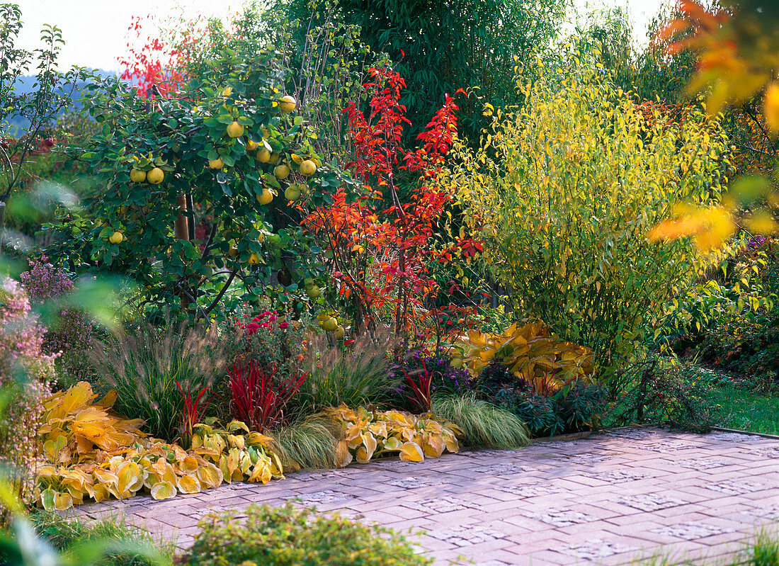 Autumn bed on terrace