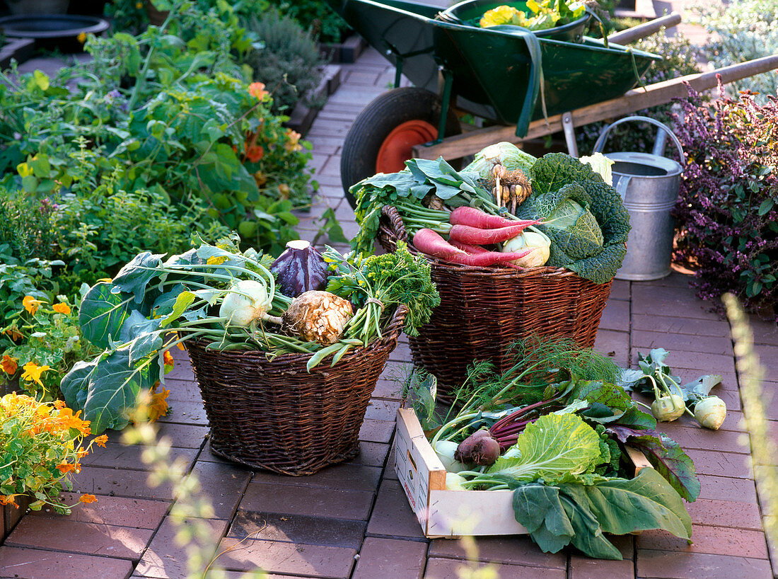 Baskets with vegetables