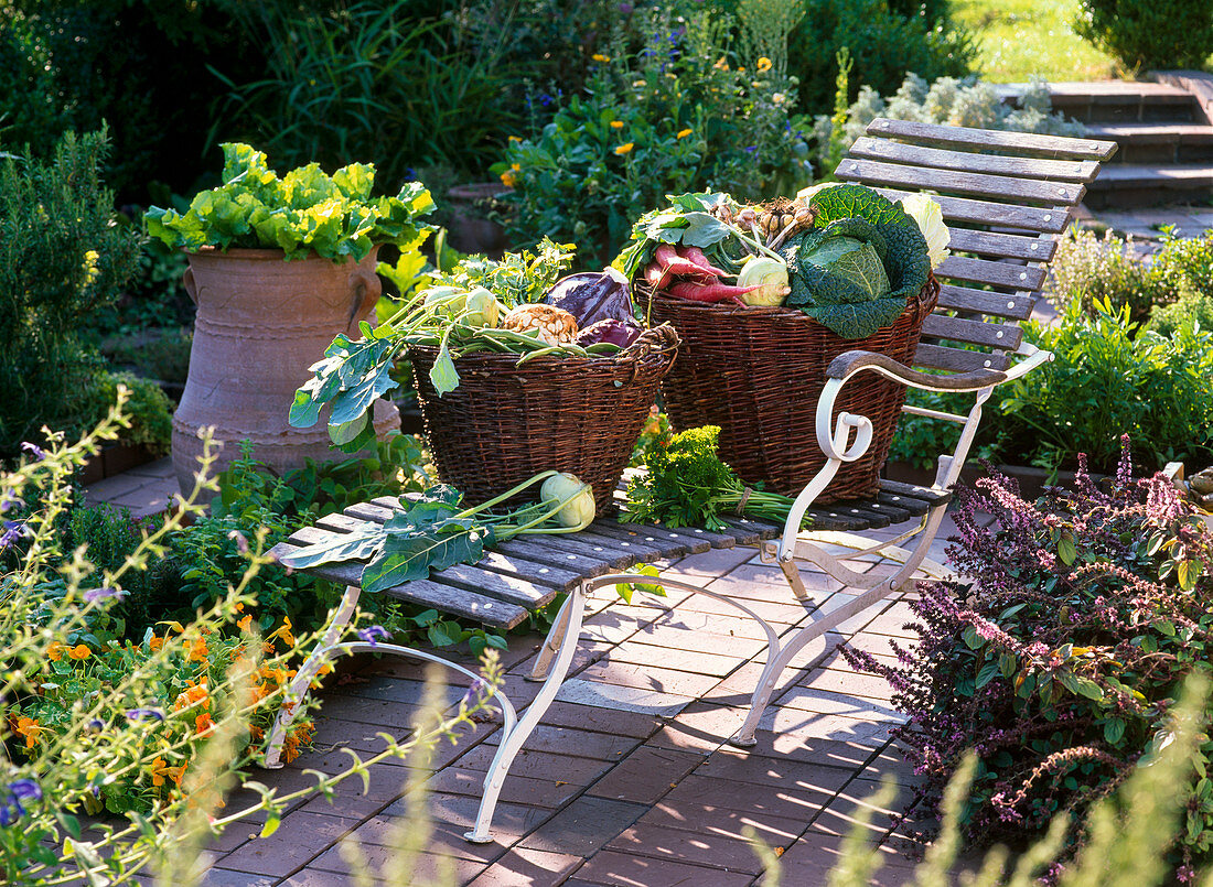 Baskets with vegetables on a garden lounger