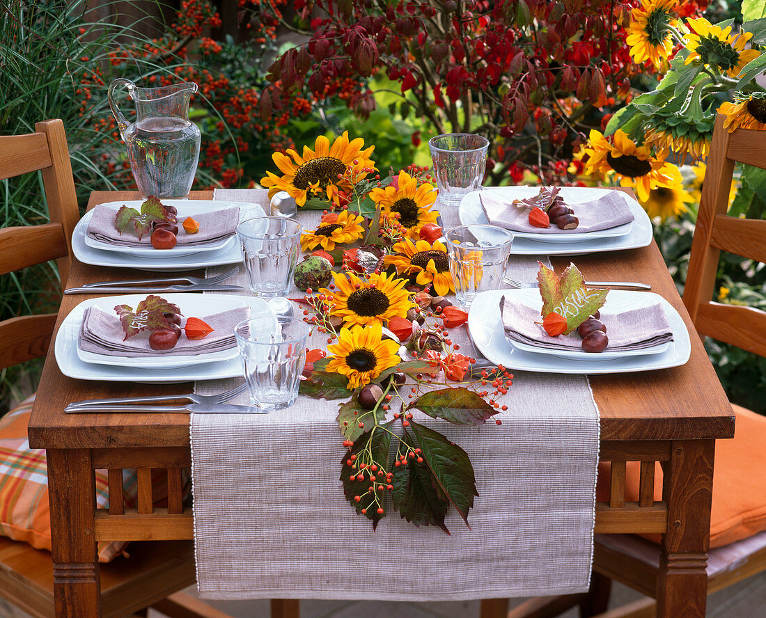 Autumn table decoration with sunflowers and chestnuts