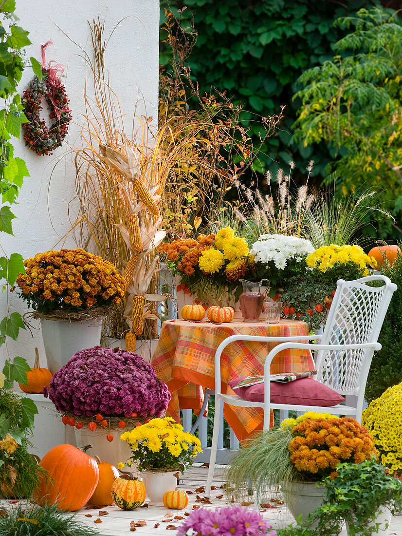 Autumn balcony with chrysanthemum