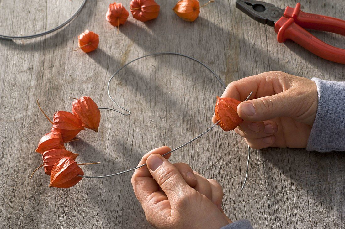 Physalis heart (3/5)