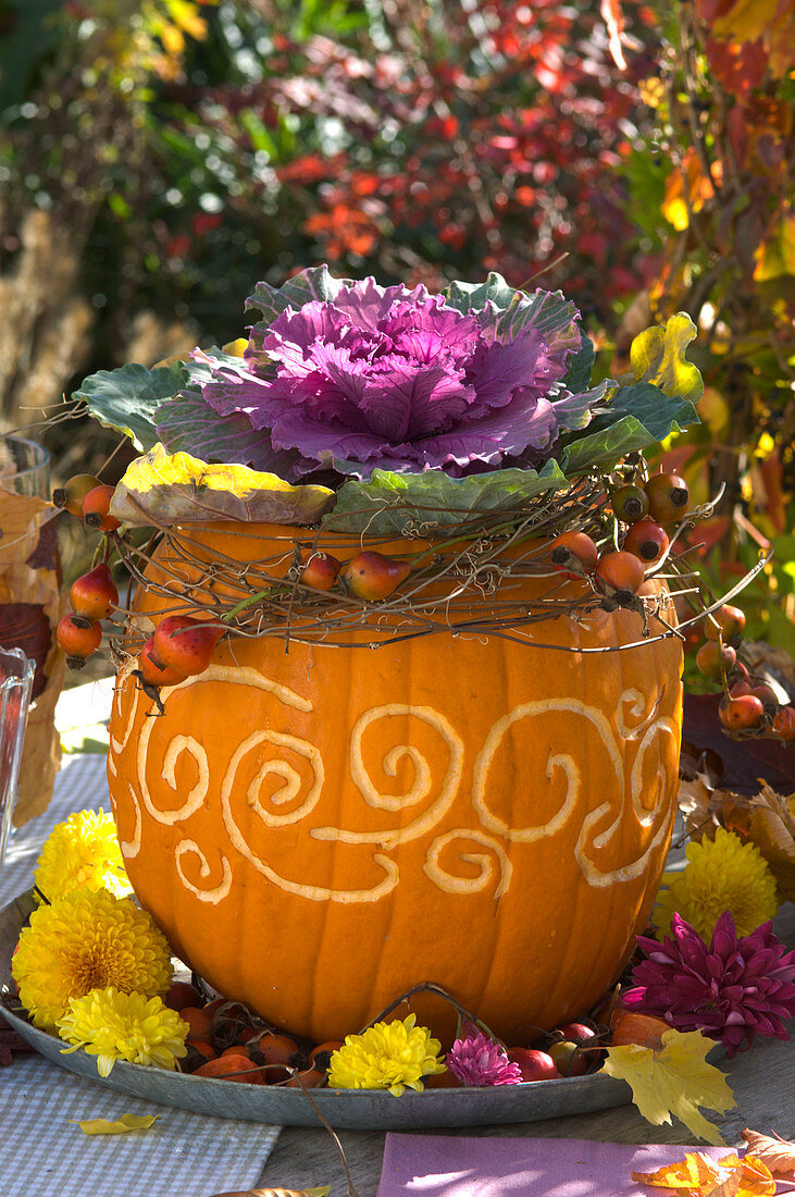 Cucurbita (edible pumpkin) with ornaments as a planter