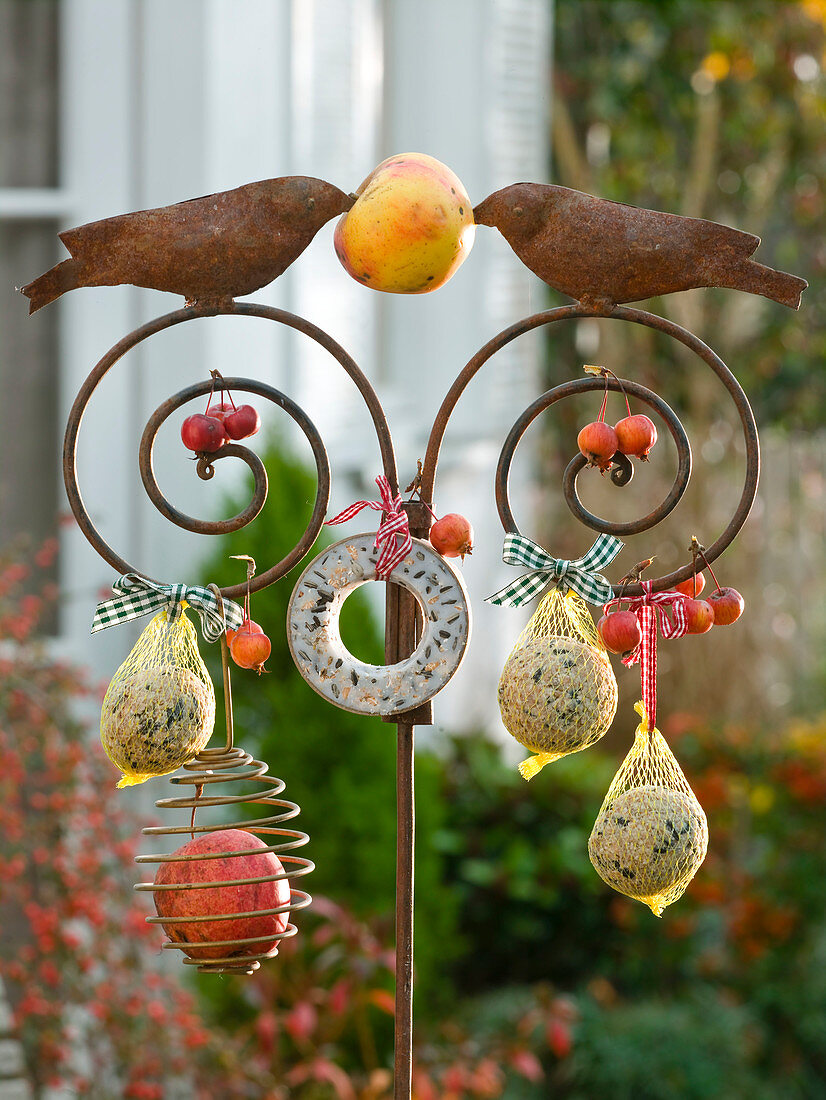 Bird food on iron bar with birds