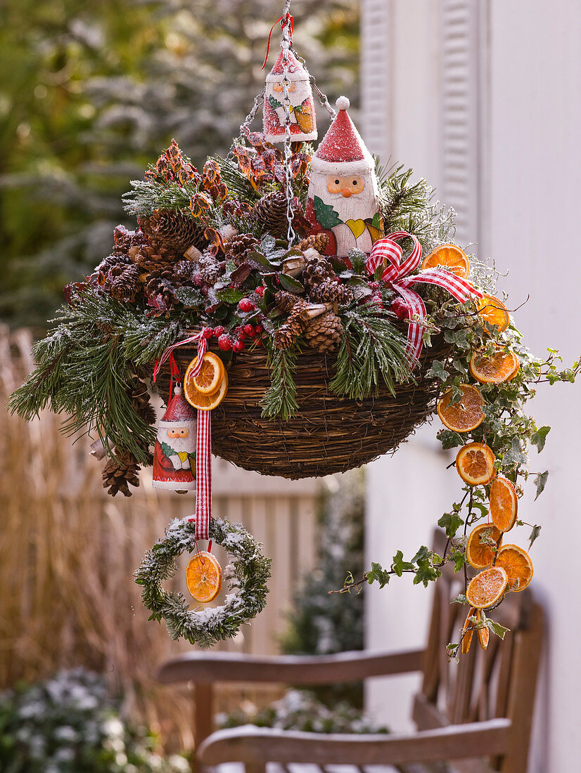 Hanging Basket with Hedera (Ivy), Gaultheria (Whitberry)