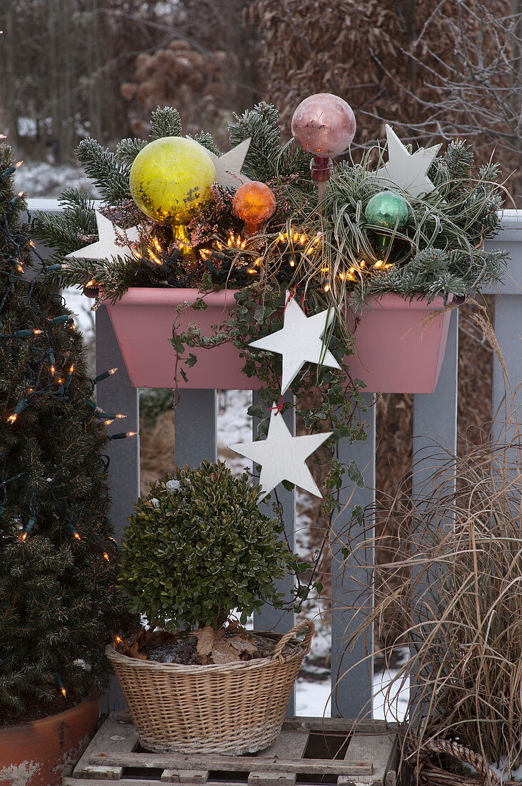 Christmas balcony box with rose balls