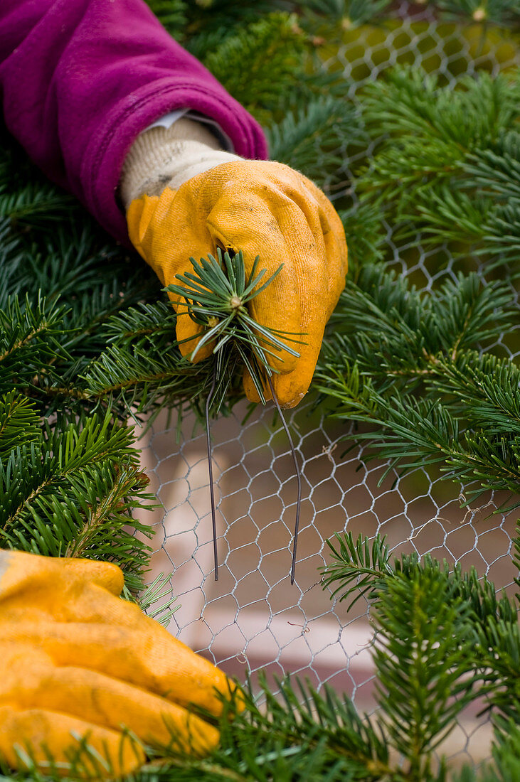 Deco pyramids with fir branches