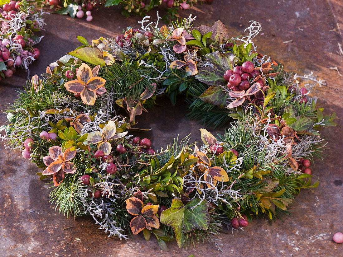 Autumn wreath of Pernettya (peat myrtle), Hedera (ivy)