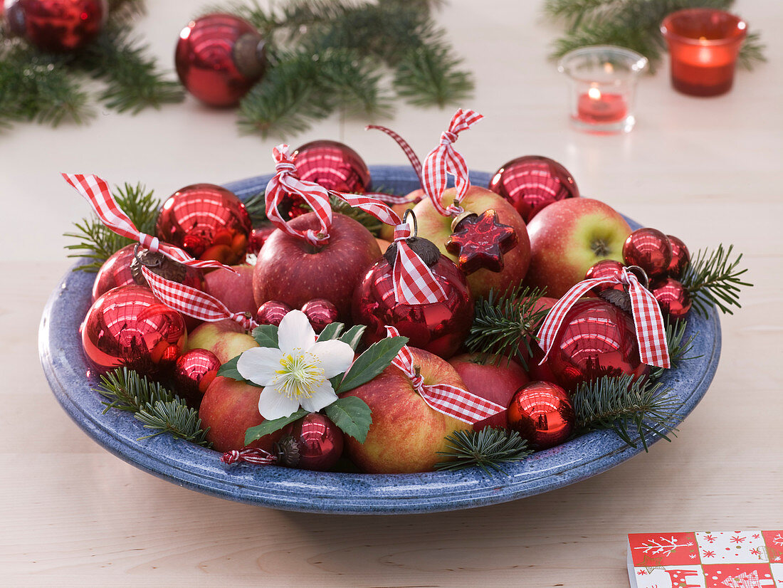 Weihnachtsschale mit Malus (Äpfeln), Abies (Tanne)