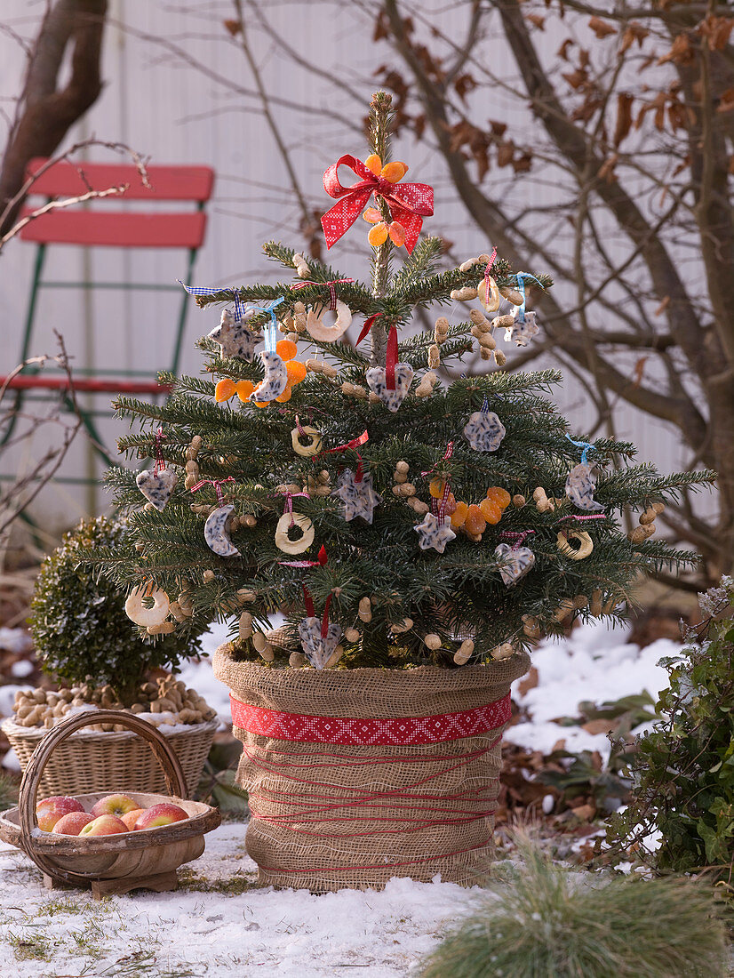 Birdseed Christmas