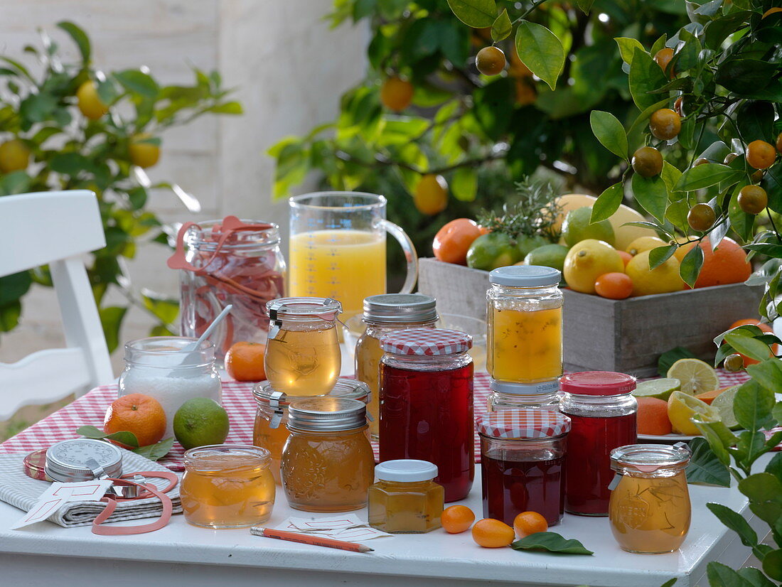 Marmalade from citrus fruits