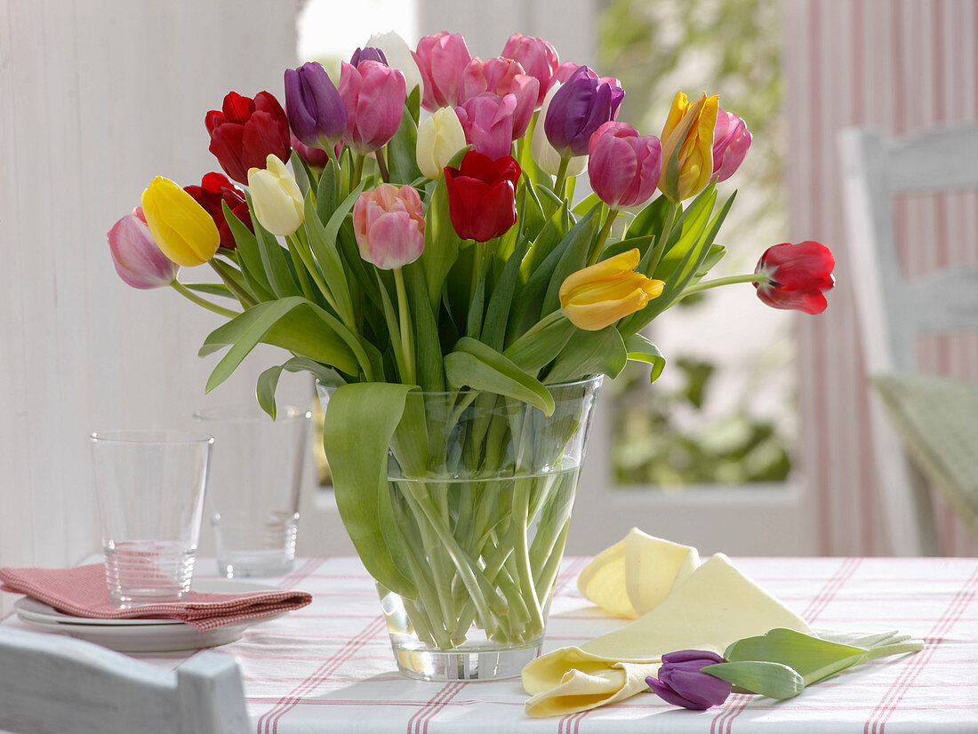 Mixed bouquet of Tulipa (tulips)