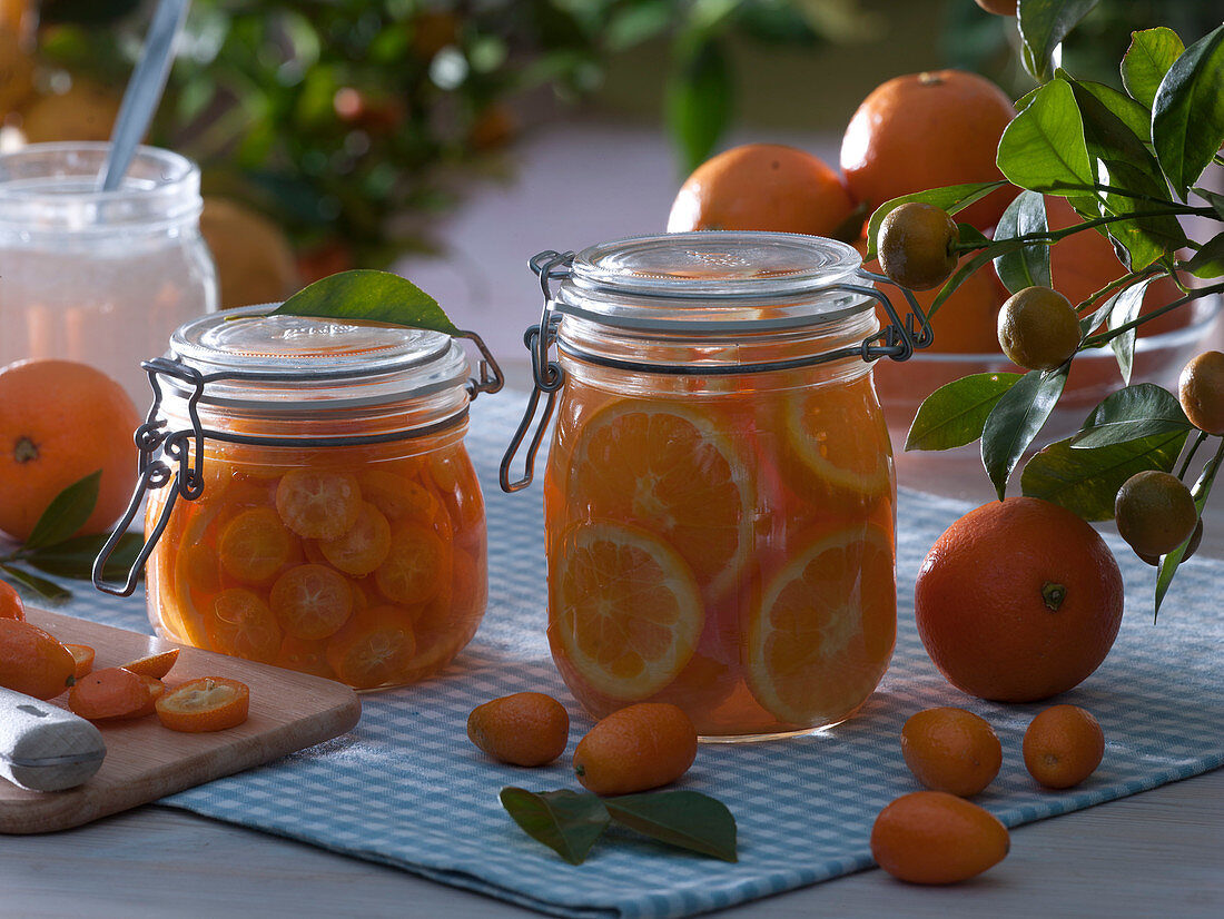 Orangen (Citrus sinensis) und Kumquat (Fortunella) eingelegt