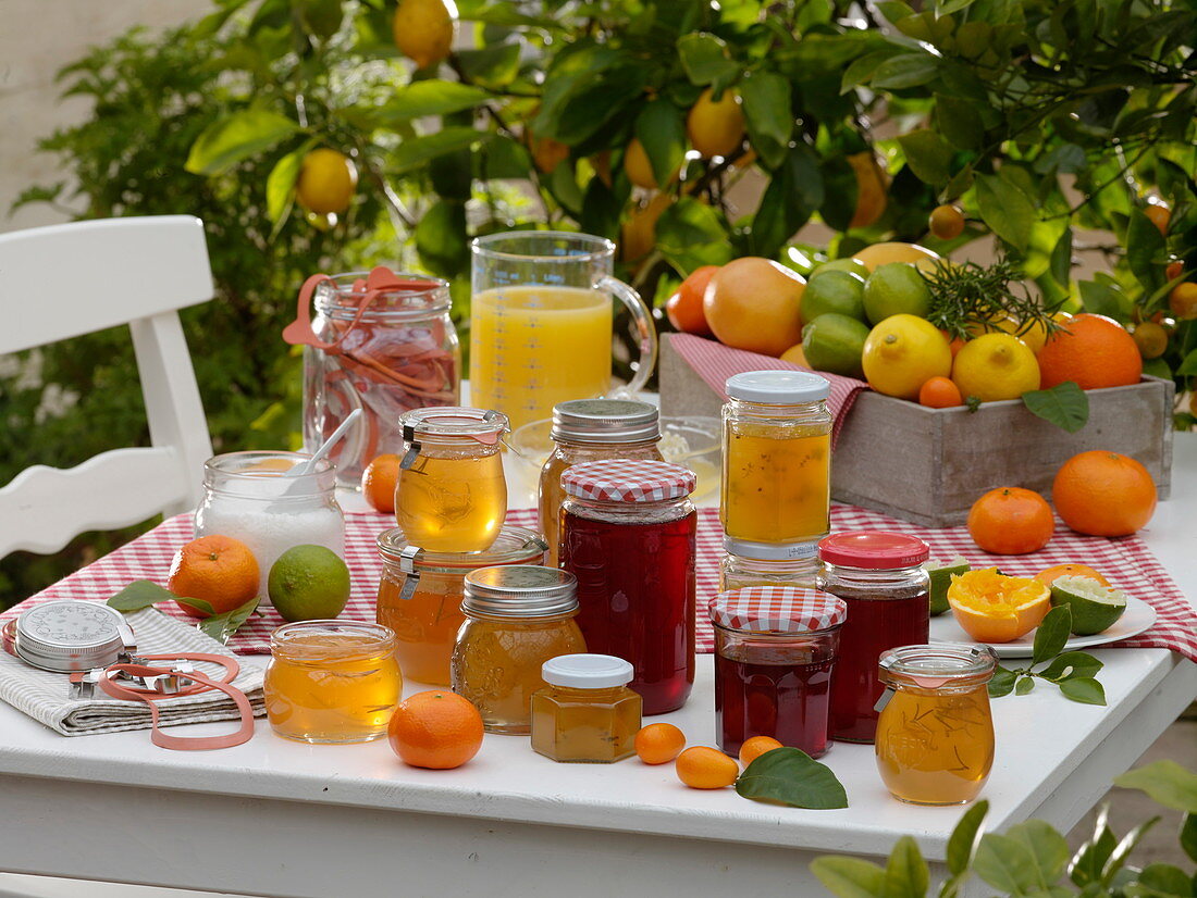 Marmalade from citrus fruits