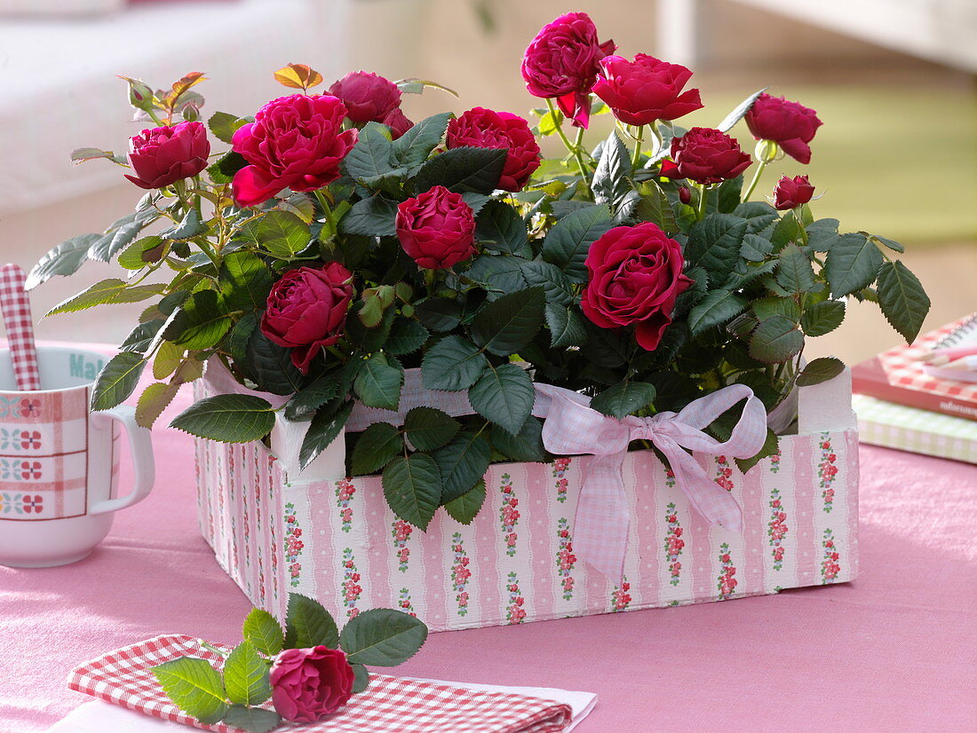 Roses in fruit staircase with napkin technique