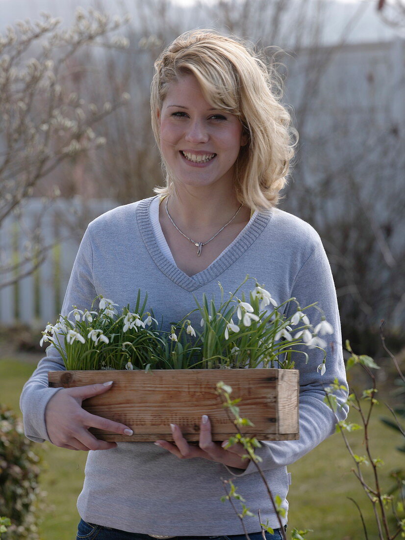 Junge Frau bringt Holzkasten mit Galanthus (Schneeglöckchen)