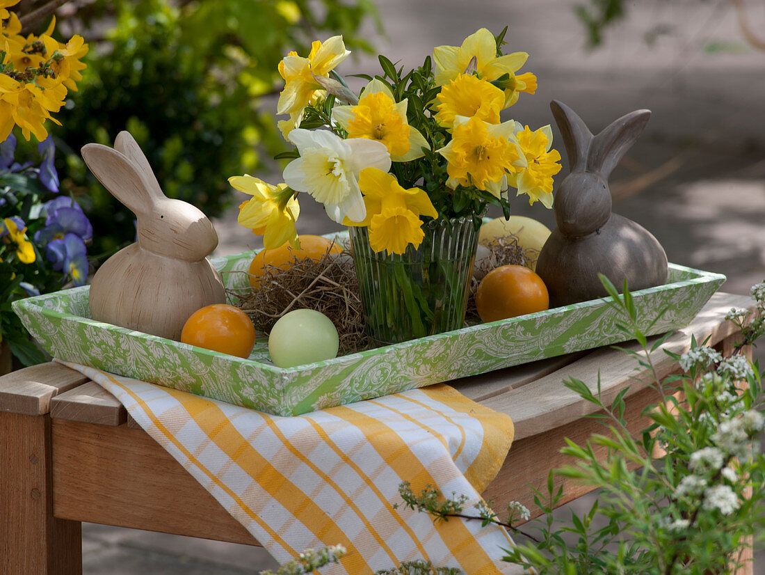 Small bouquet of Narcissus (Narcissus) on tray with Easter bunny