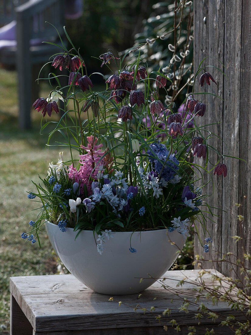 Bowl with spring onions