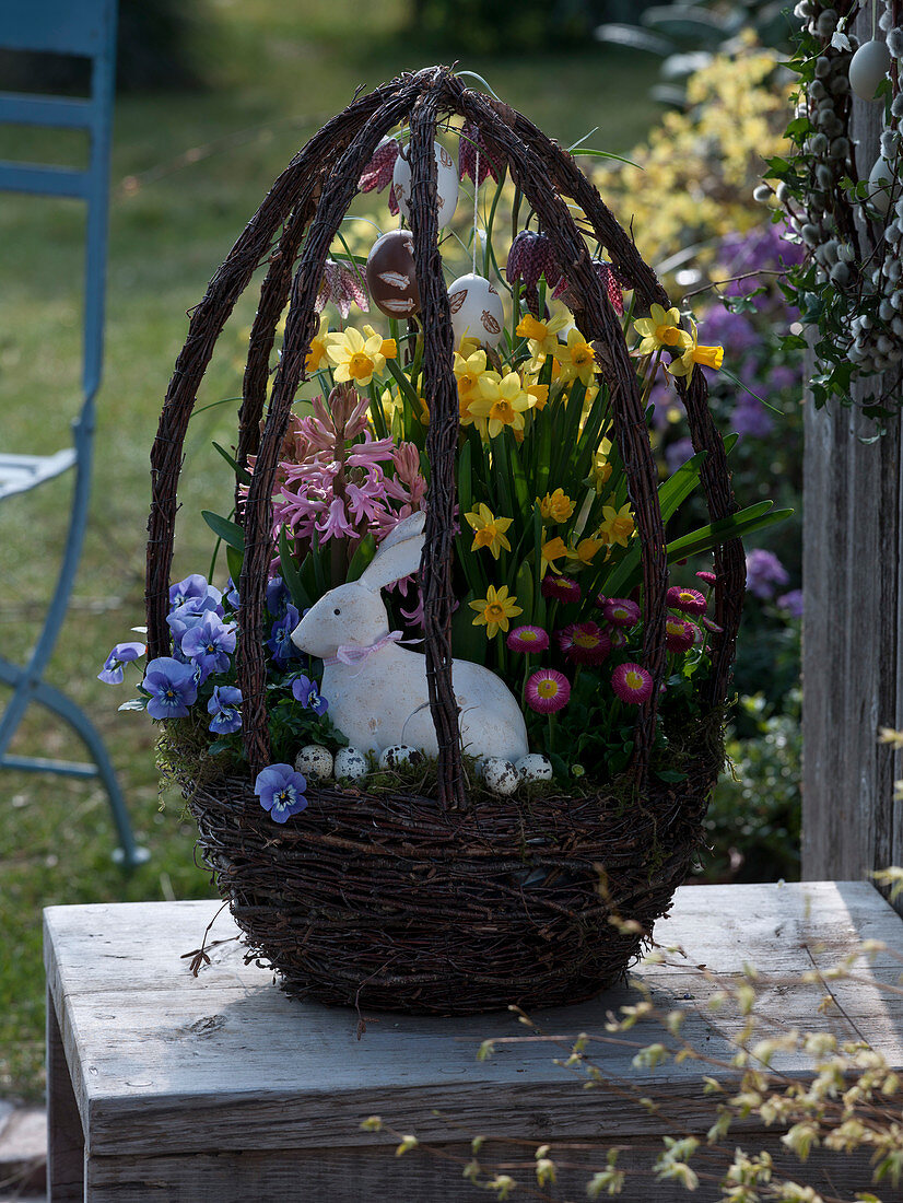 Easter basket of birch twigs planted with Narcissus 'Tete a Tete'.