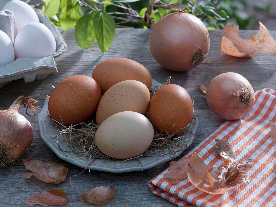 Eier färben mit Zwiebelschalen