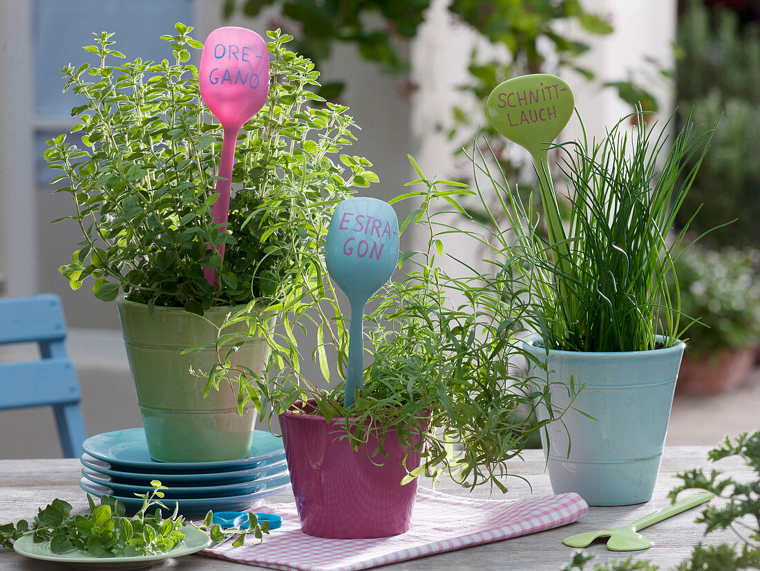 Labeled salad servers stuck in herb pots as tags