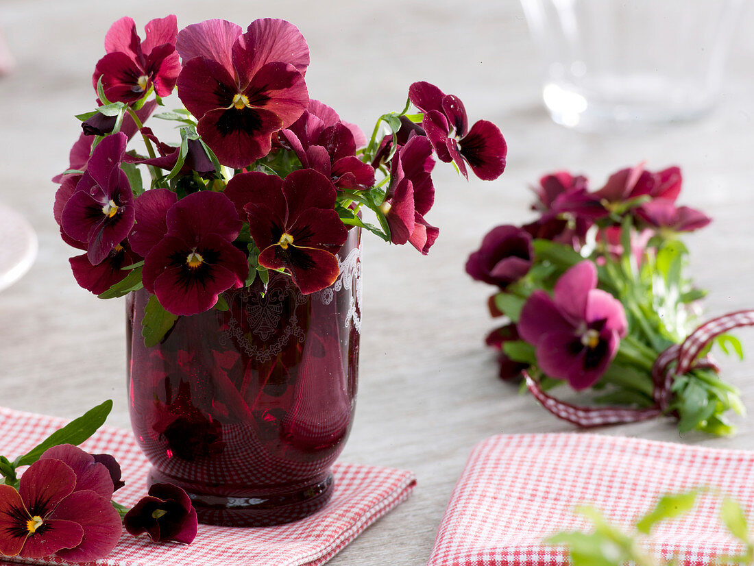 Viola wittrockiana (Pansy) in red glass vase