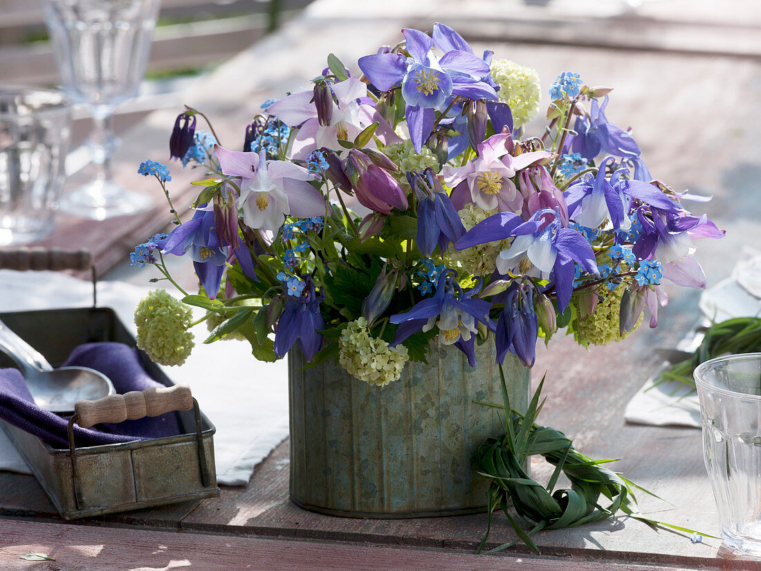 Small bouquet of Aquilegia (columbine), Viburnum opulus 'Roseum'.