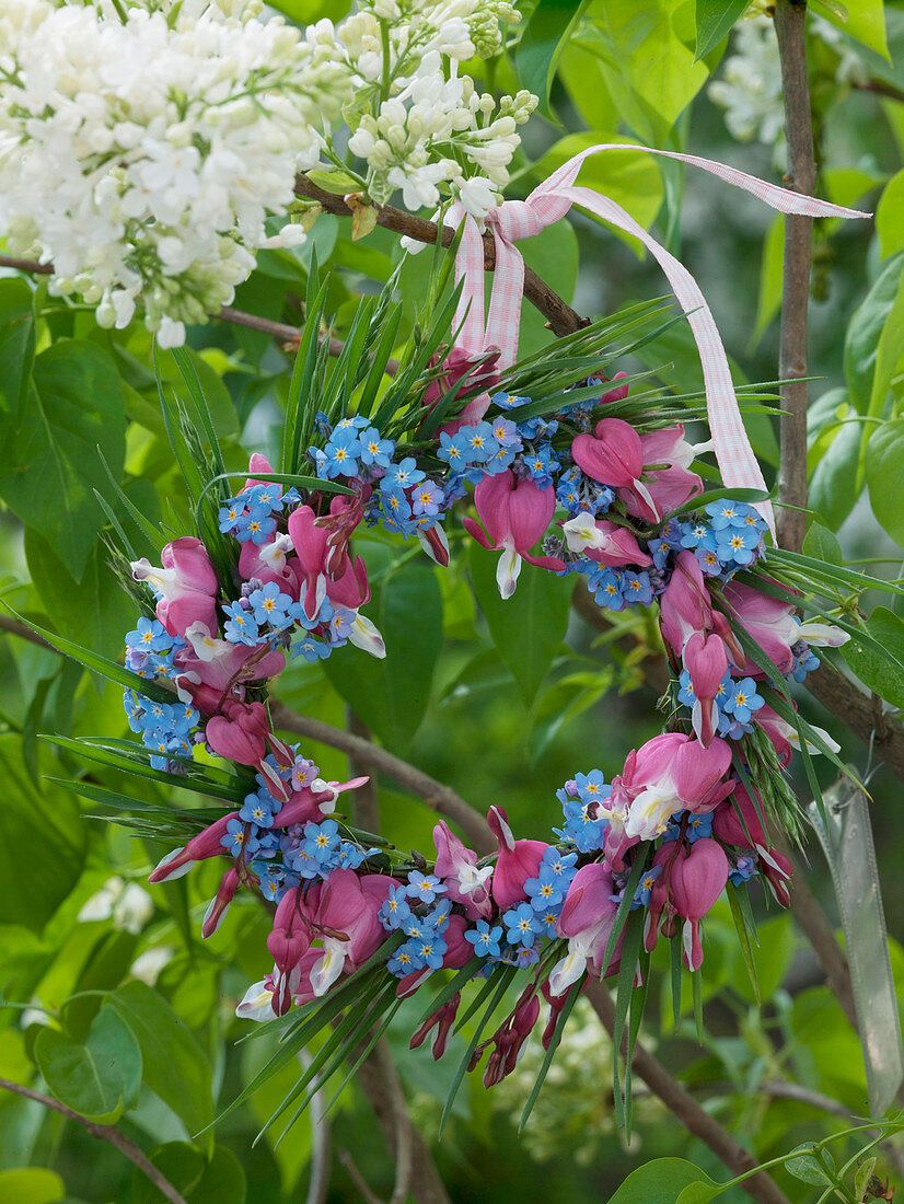 Small wreath of Dicentra (Weeping Heart), Myosotis (Forget-me-not)