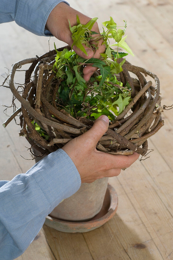 Ivy as a live Easter basket