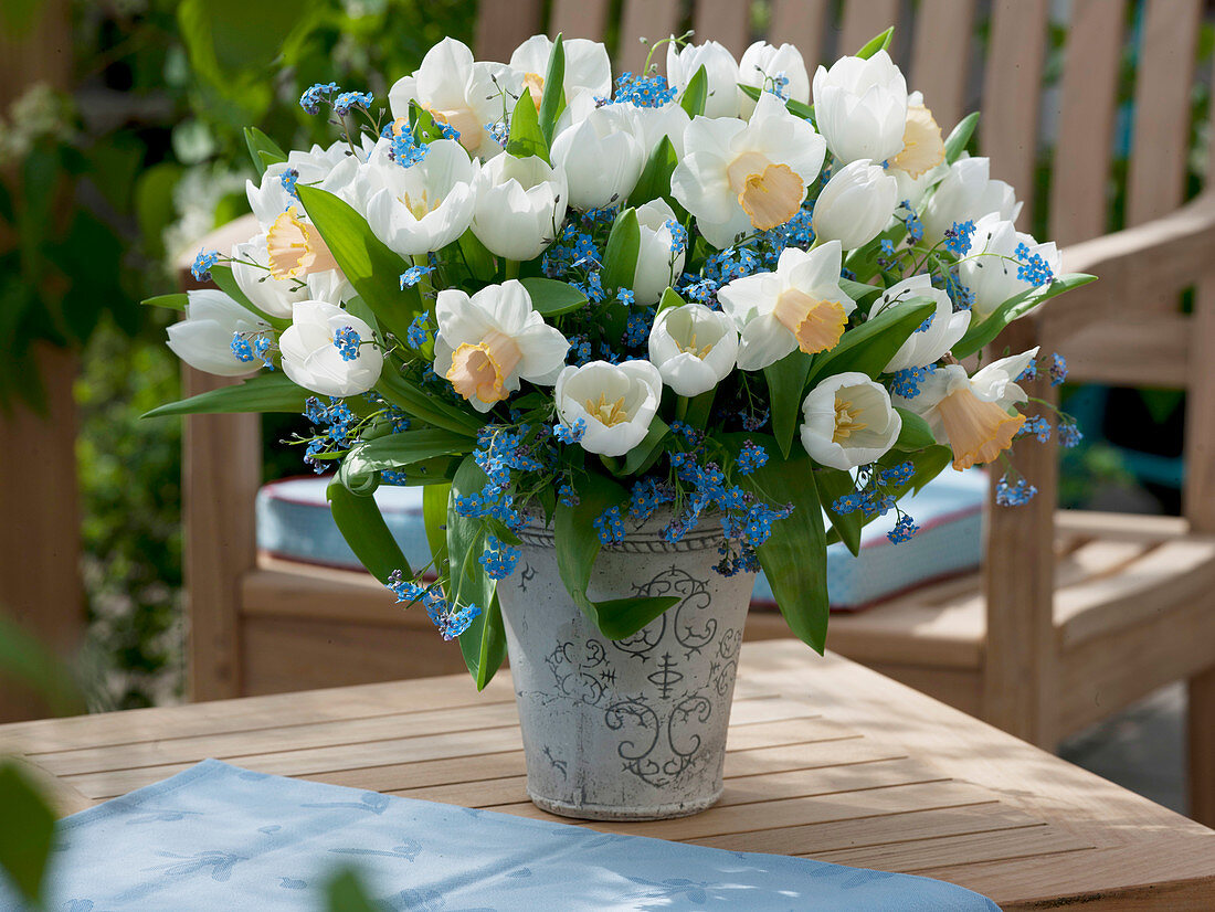 Strauß aus Tulipa 'White Dream' (Tulpen), Narcissus 'Salome' (Narzissen)