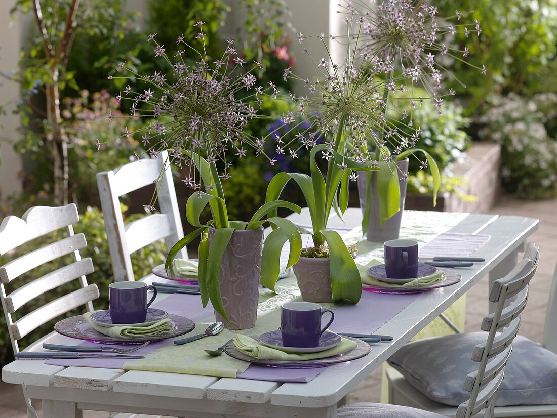 Table decoration with Allium schubertii (hedgehog leek)