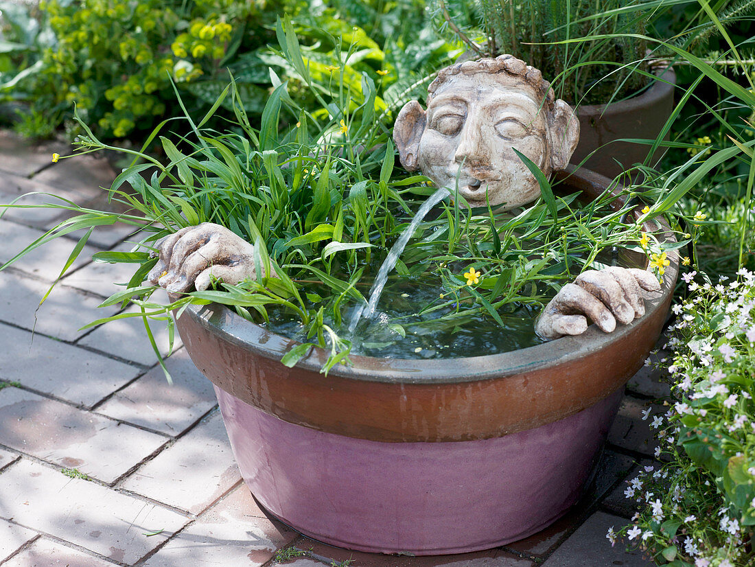 Ranunculus lingua and hand-made water feature