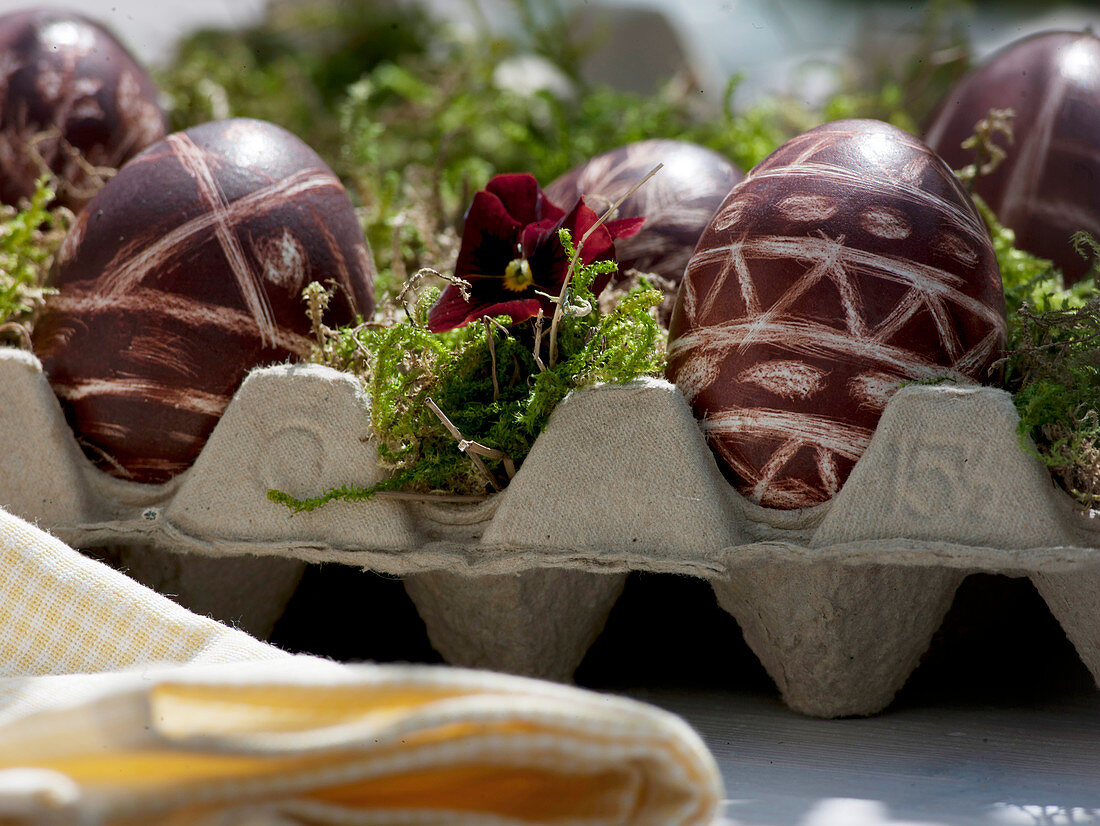 Dyeing eggs with natural dyes (2/2)