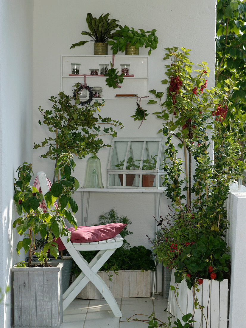 Balcony with herbs and fruits