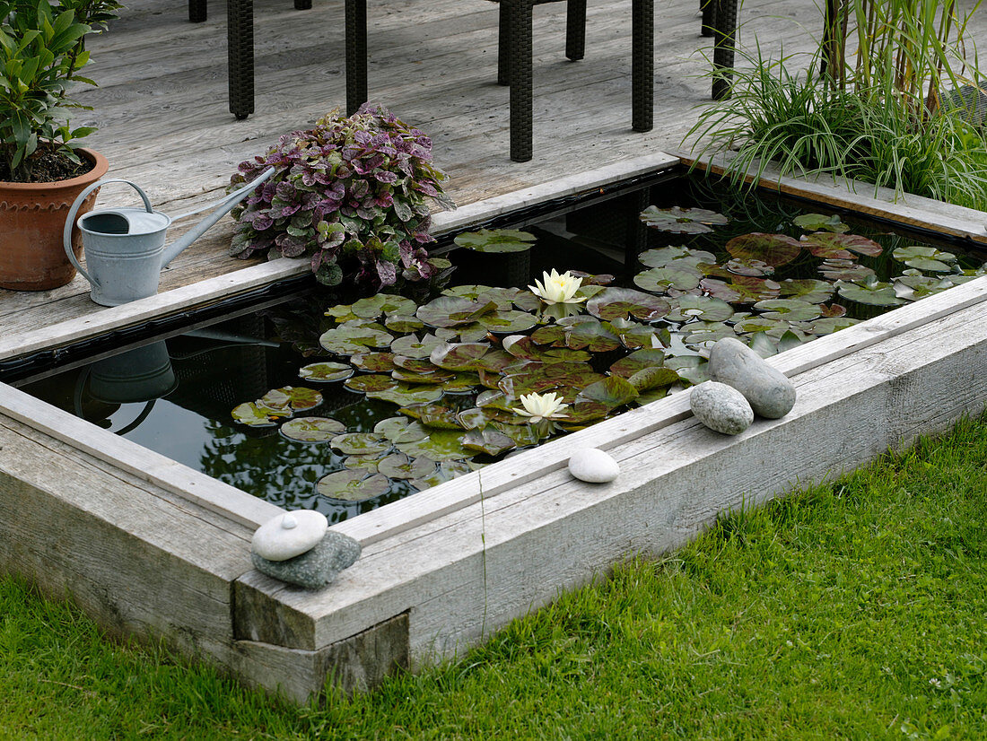 Building a mini pond from a flower bed with a wooden border 4/4