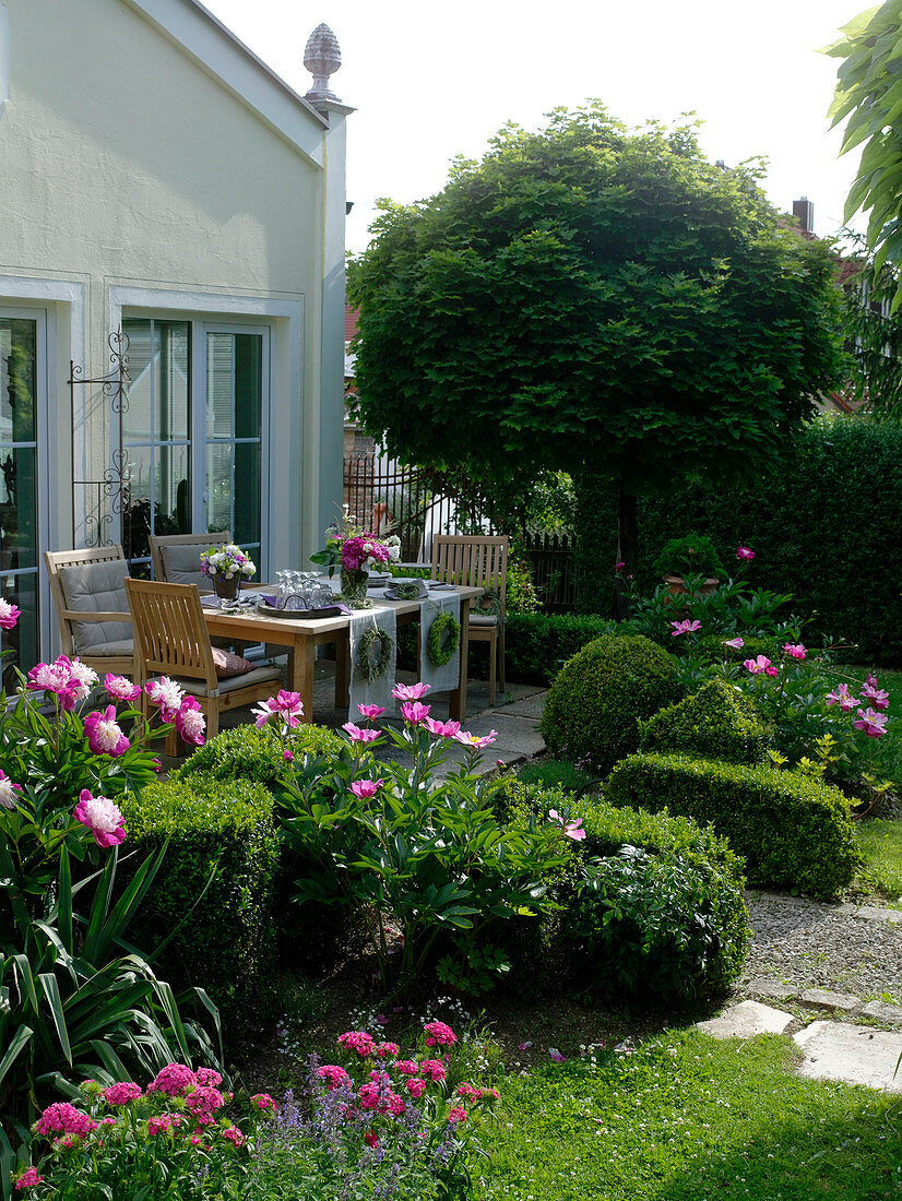 Terrace bordered with form-cut Buxus