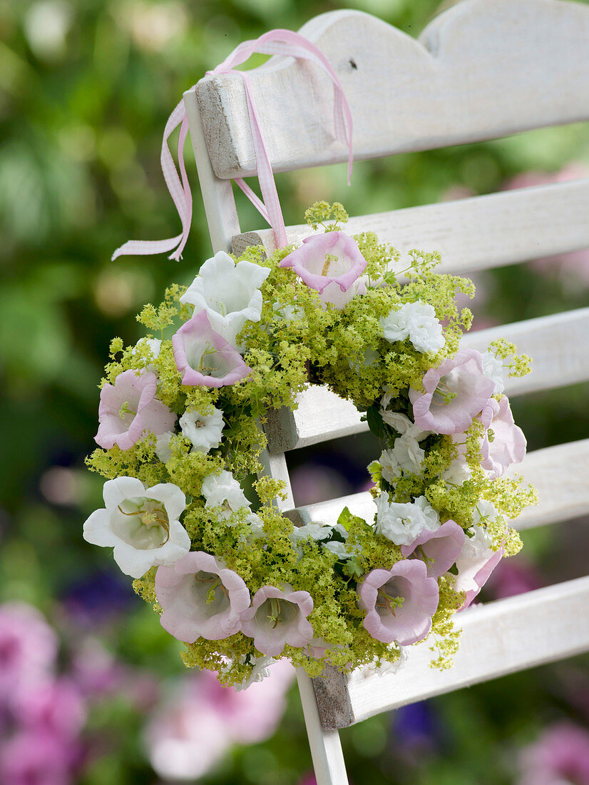 Wreath of Campanula medium 'Rosea Alba' (Lady's bell flowers)