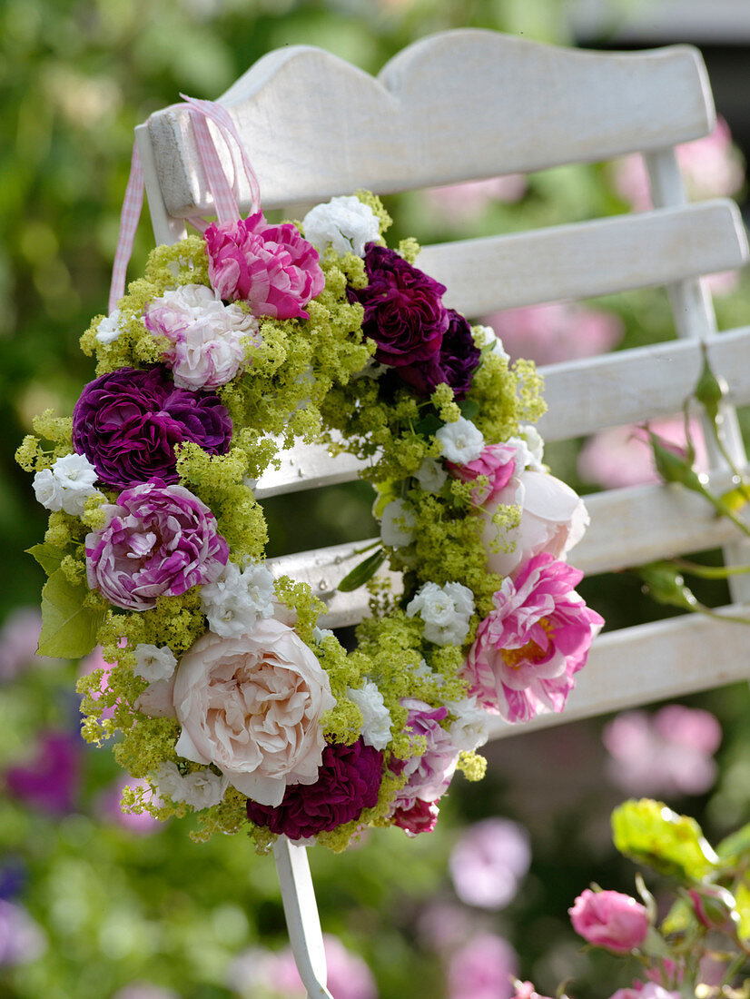 Kranz aus duftenden Rosa (Rosen) und Alchemilla (Frauenmantel)