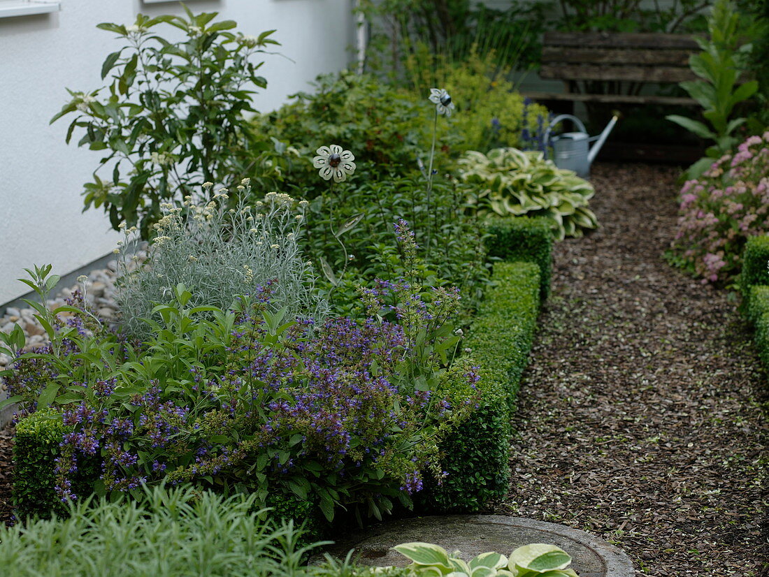 Kleines Kräuter-Beet mit Buxus (Buchs-Einfassung)