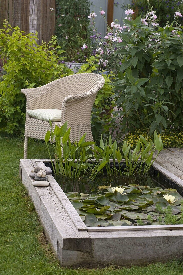 Building a mini pond from a bed with a wooden border 4/4